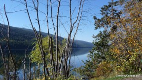 Ausblick von der Campsite auf den Loon Lake