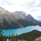 Der Peyto Lake am Rande des Icefield Parkway