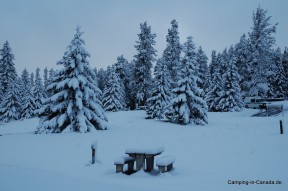 Schnee auf dem Campingplatz in Banff