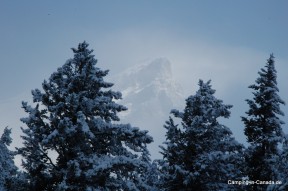 Bäume und ein Berg im Hintergrund, fotografiert vom Campingplatz in Banff aus
